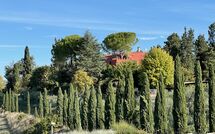 Foto caricata dall'ospite di Tenuta Cambiano