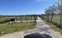 Foto caricata dall'ospite di Villa dei Vini