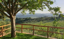 Foto caricata dall'ospite di San Guido