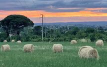 Foto caricata dall'ospite di Casale San Martino