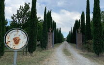 Foto caricata dall'ospite di Villa Giare