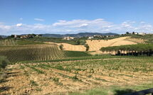 Foto caricata dall'ospite di Nicola