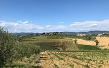 Foto caricata dall'ospite di Nicola