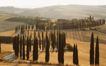 Foto caricata dall'ospite di Villa Lauretana