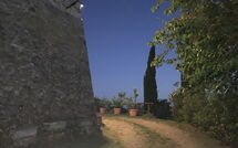 Foto caricata dall'ospite di Villa Poggiolino