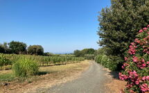 Foto caricata dall'ospite di Poderino