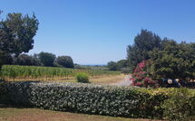 Foto caricata dall'ospite di Poderino