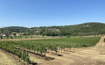 Foto caricata dall'ospite di Villa Ulivi