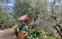 Foto caricata dall'ospite di La Ruota