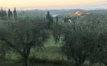 Foto caricata dall'ospite di Casa Lucia