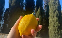 Foto caricata dall'ospite di Montegufoni