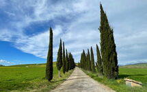 Foto caricata dall'ospite di Villa Cassia