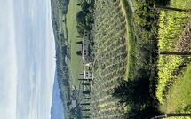 Foto caricata dall'ospite di Tenuta - Tenuta 4