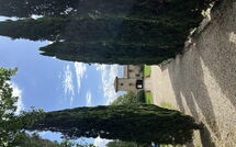 Foto caricata dall'ospite di Tenuta - Tenuta 4