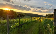 Foto caricata dall'ospite di Villa Il Caggio