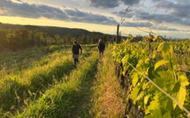 Foto caricata dall'ospite di Villa Il Caggio