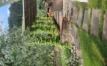 Foto caricata dall'ospite di Villa Bellostare