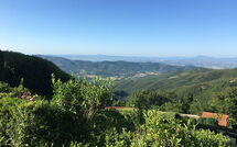 Foto caricata dall'ospite di Villa Portole Due