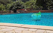 Foto caricata dall'ospite di Villa Contessa