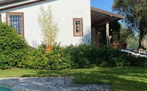 Foto caricata dall'ospite di Villa Oliveta