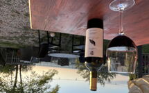 Foto caricata dall'ospite di Panzalla - Rondini