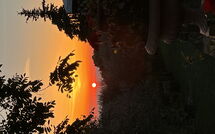 Foto caricata dall'ospite di Panzalla - Rondini