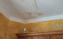 Foto caricata dall'ospite di Il Gualdo - Paggio