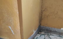 Foto caricata dall'ospite di Il Gualdo - Paggio