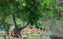 Foto caricata dall'ospite di Villa Eftychia