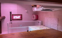 Foto caricata dall'ospite di La Ruota