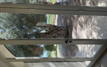 Foto caricata dall'ospite di Tenuta Olearum