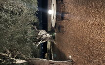 Foto caricata dall'ospite di Tenuta Olearum