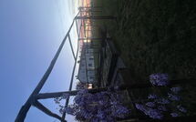 Foto caricata dall'ospite di Il Sole di Vino