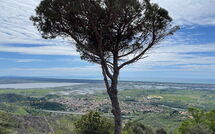 Foto caricata dall'ospite di Casarosa di Mariasole