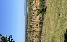 Foto caricata dall'ospite di Villa Casale