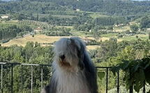 Foto caricata dall'ospite di Villa Roberto