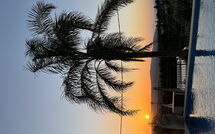 Foto caricata dall'ospite di Villa Kois