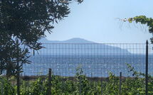 Foto caricata dall'ospite di Villa Casale