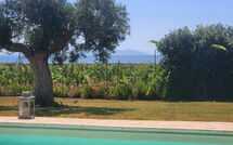 Foto caricata dall'ospite di Villa Casale