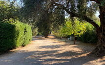 Foto caricata dall'ospite di Villa Armonia