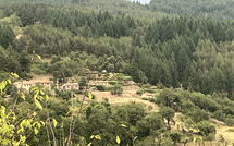 Foto caricata dall'ospite di Villa Portole Due