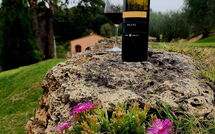 Foto caricata dall'ospite di Villa le Buche