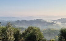 Foto caricata dall'ospite di Casa Andrea
