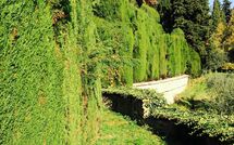 Foto caricata dall'ospite di Montegufoni