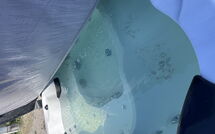 Foto caricata dall'ospite di Casa Andrea