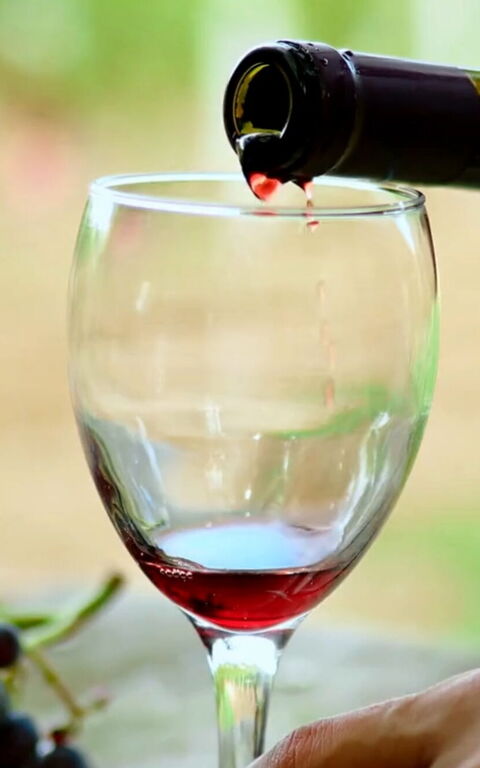 Guided tours in Italy and Greece from Posarelli Villas